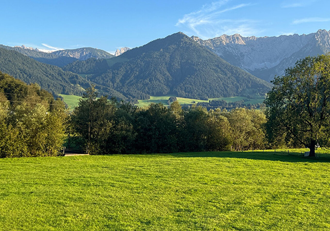 grüne Wiese und Bäume vor Bergkulisse